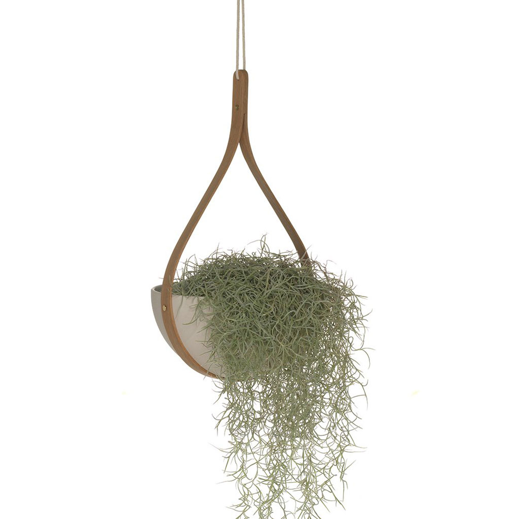 Tom Raffield – Morvah Celing Hanging Planter – Blumentopf zum Hängen